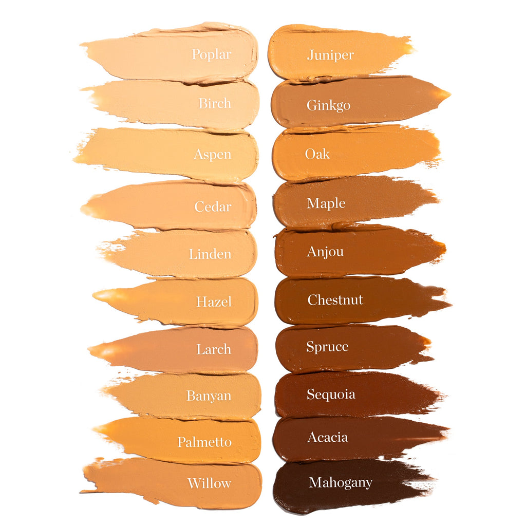 Sculpted Complexion Foundation Stick