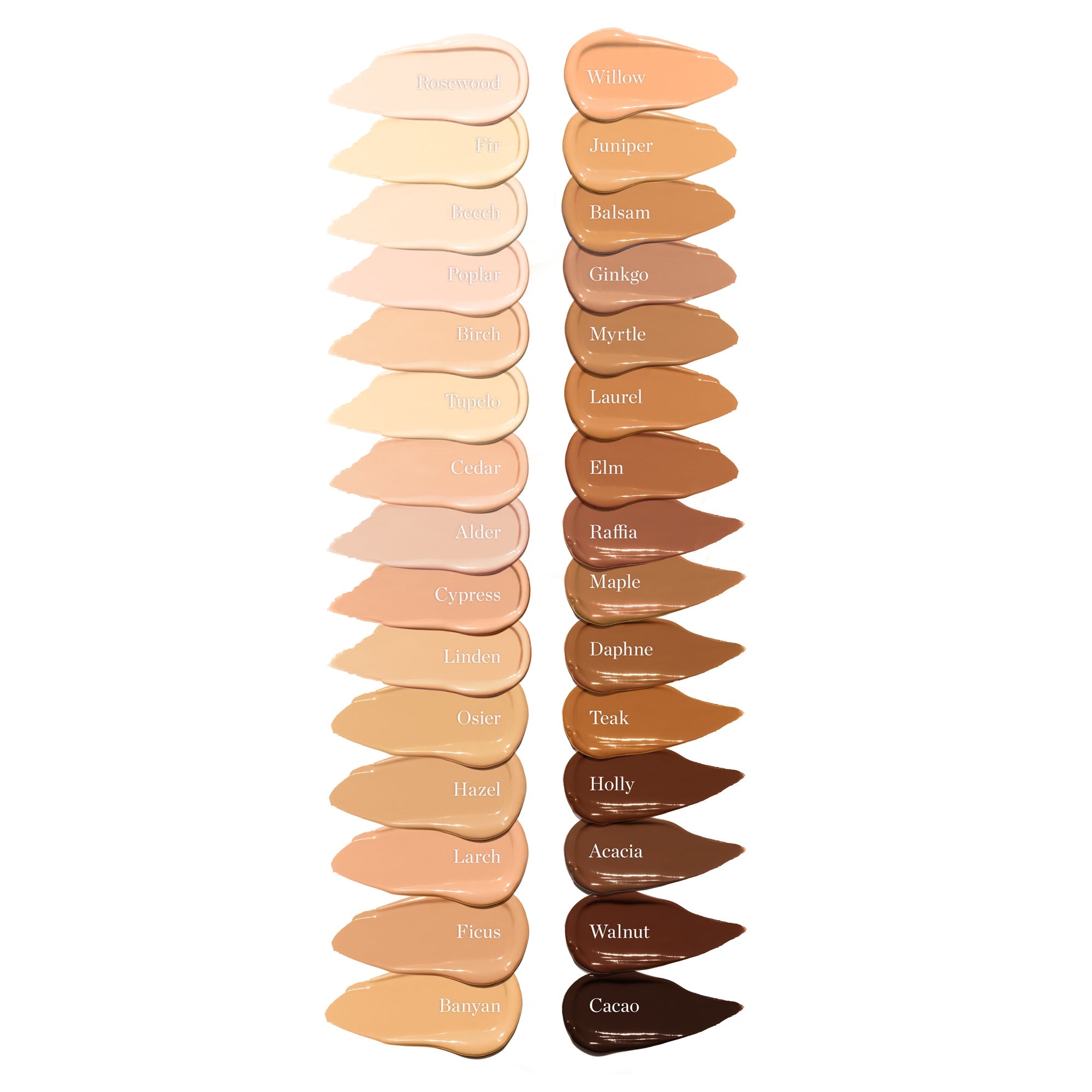 Complexion Perfecting Concealer
